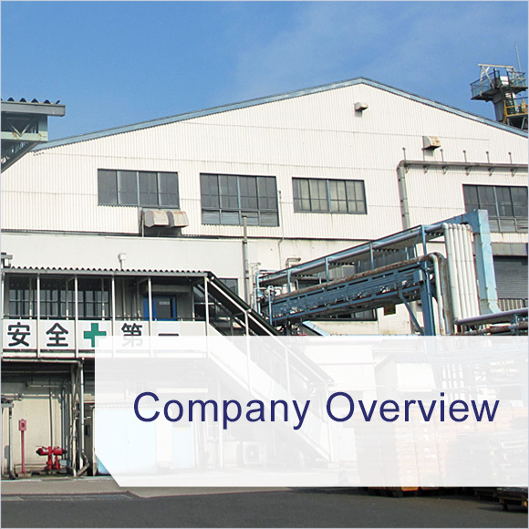 Company Overview